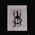 Beetle lino print