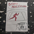 Stupid Pedestrians